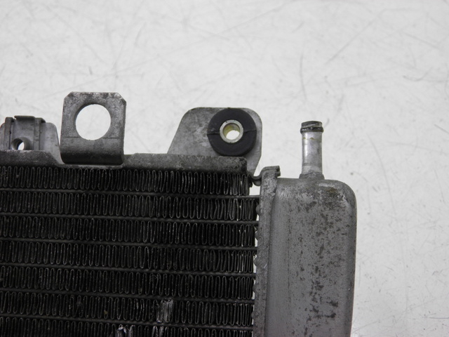 photo de RADIATEUR PIAGGIO X9 EVOLUTION 125 (2003 - 2007)