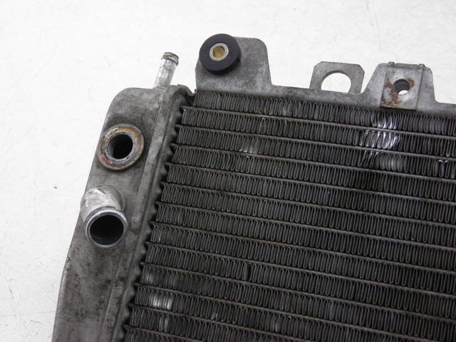 photo de RADIATEUR PIAGGIO X9 EVOLUTION 125 (2003 - 2007)