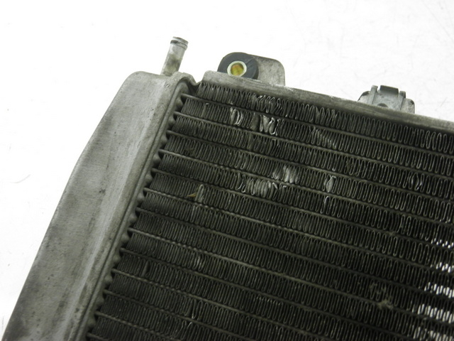 photo de RADIATEUR PIAGGIO X9 EVOLUTION 125 (2003 - 2007)