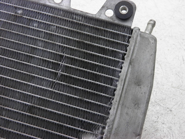 photo de RADIATEUR PIAGGIO X9 EVOLUTION 125 (2003 - 2007)