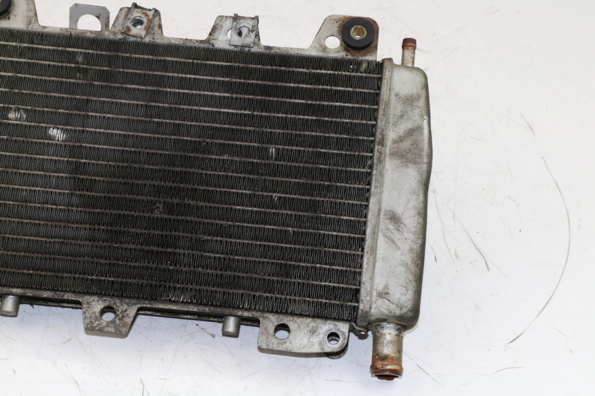 photo de RADIATEUR PIAGGIO X9 EVOLUTION 125 (2003 - 2007)