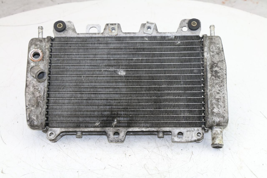 photo de RADIATEUR PIAGGIO X9 EVOLUTION 125 (2003 - 2007)