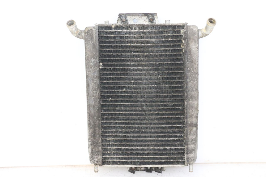photo de RADIATEUR PIAGGIO XEVO - X EVO 125 (2007 - 2016)