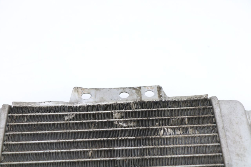 photo de RADIATEUR PIAGGIO XEVO - X EVO 125 (2007 - 2016)