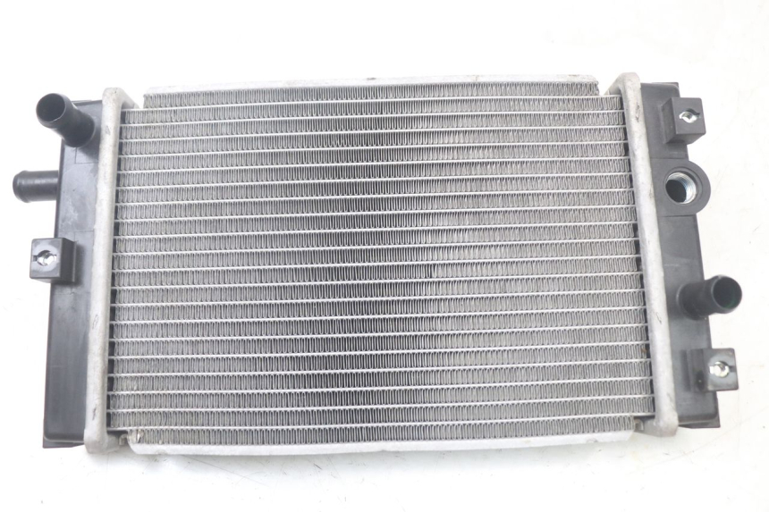 photo de RADIATEUR QUADRO 3D S 350 (2013 - 2018)