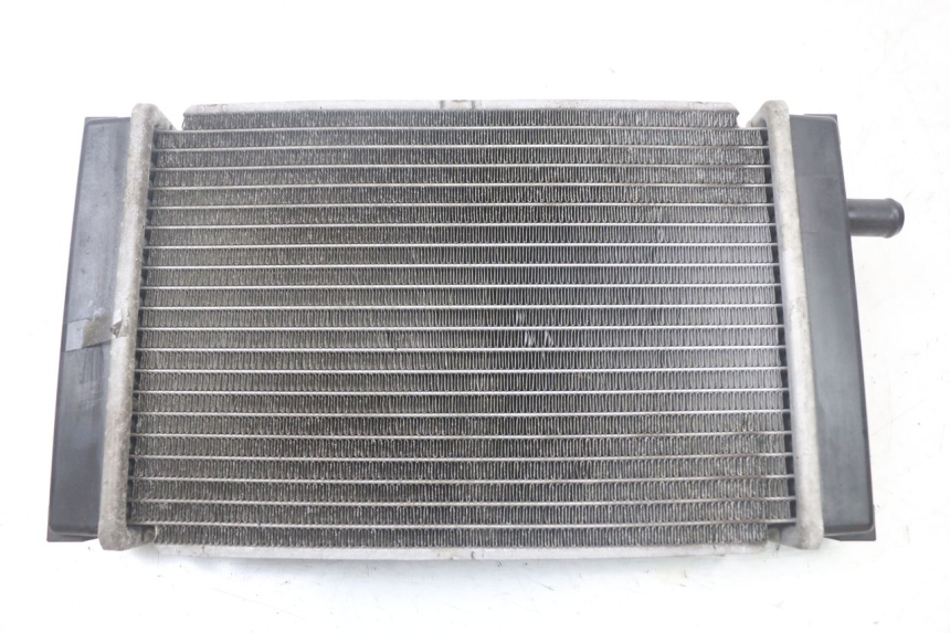 photo de RADIATEUR QUADRO 3D S 350 (2013 - 2018)