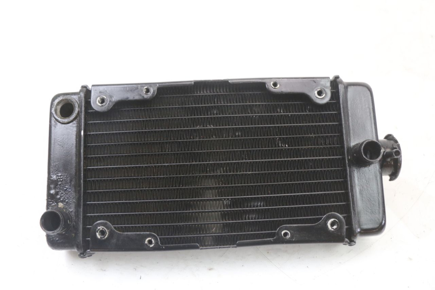 photo de RADIATEUR REGAL RAPTOR SPYDER 125 (2010 - 2018)