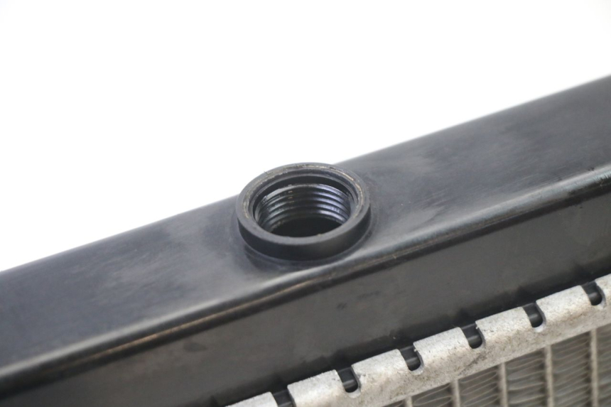 photo de RADIATEUR PEUGEOT SATELIS 125 (2013 - 2018)