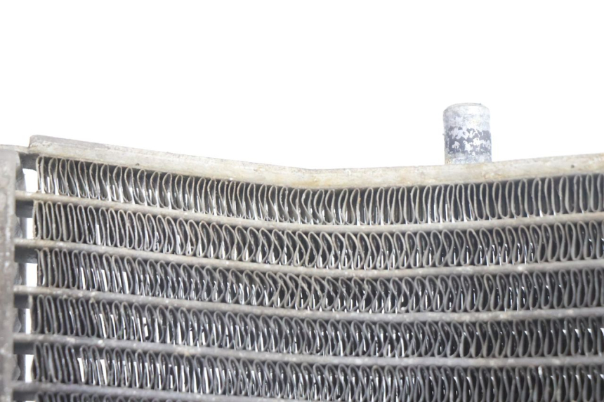 photo de RADIATEUR APRILIA SCARABEO GT 125 (1999 - 2007) - Zoom état d’usage