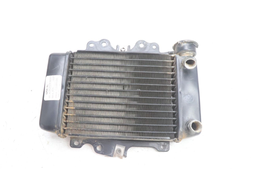 photo de RADIATEUR HONDA SH 125 (2001 - 2003) - Vue principale