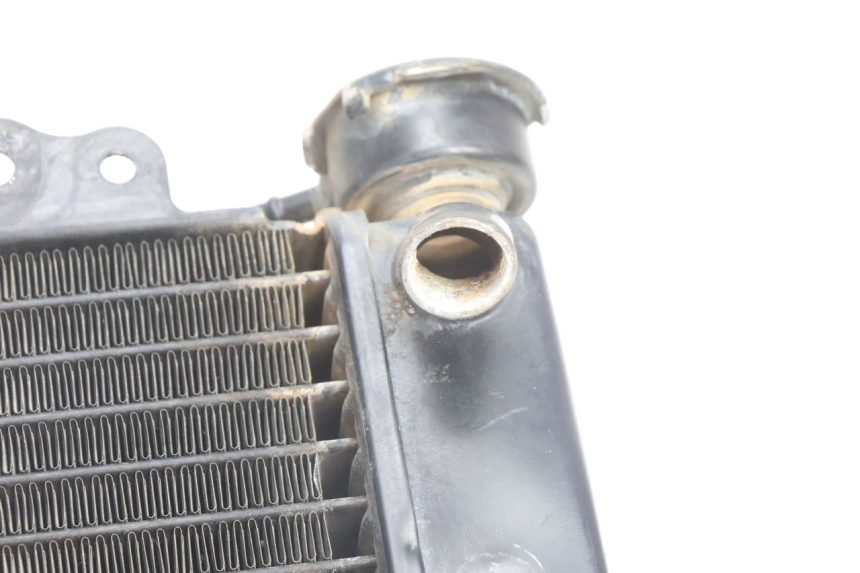 photo de RADIATEUR HONDA SH 125 (2001 - 2003) - Détail de la pièce