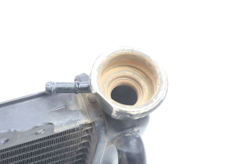 photo de RADIATEUR HONDA SH 125 (2001 - 2003) - Autre angle de vue