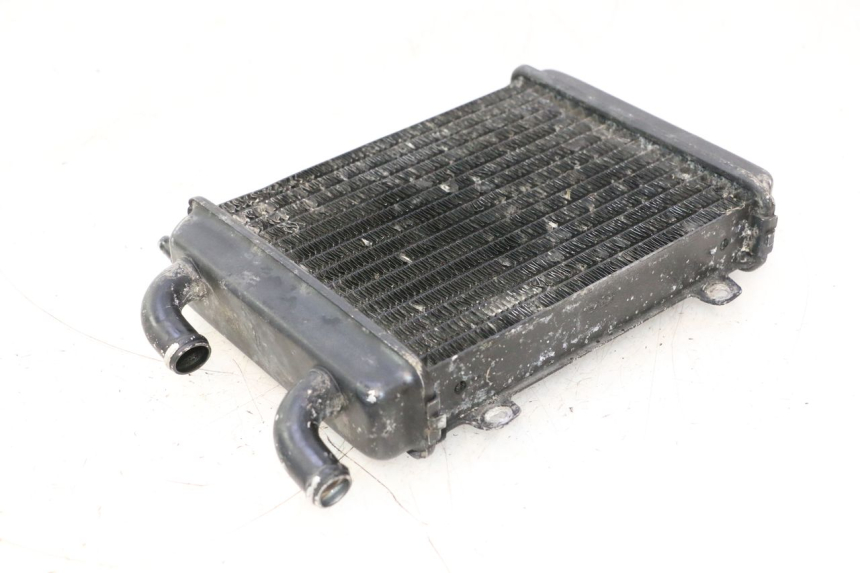photo de RADIATEUR PEUGEOT SPEEDFIGHT LC 50 (1996 - 2002) - Zoom état d’usage