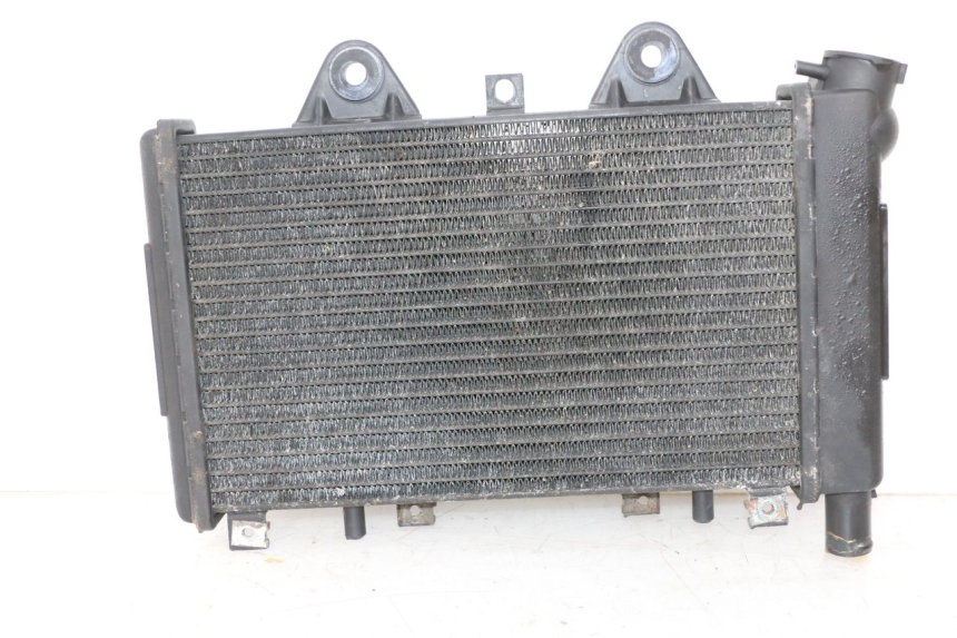 photo de RADIATEUR TRIUMPH SPRINT 900 (1995 - 1998)