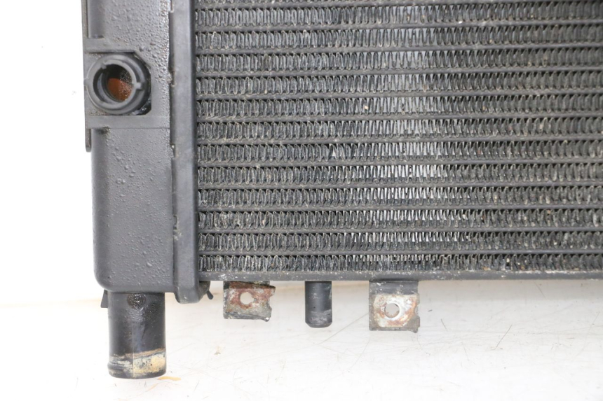 photo de RADIATEUR TRIUMPH SPRINT 900 (1995 - 1998)