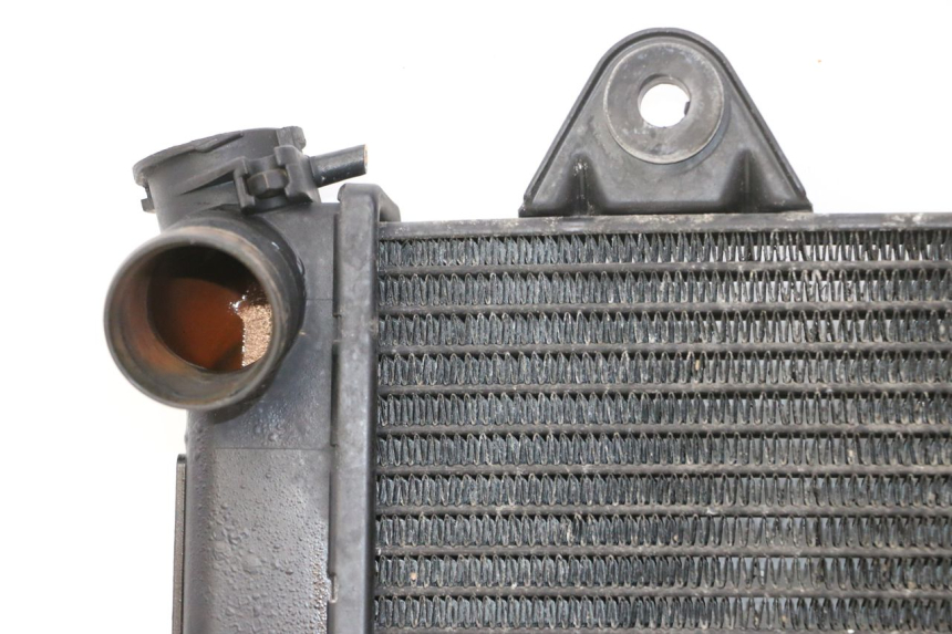 photo de RADIATEUR TRIUMPH SPRINT 900 (1995 - 1998)