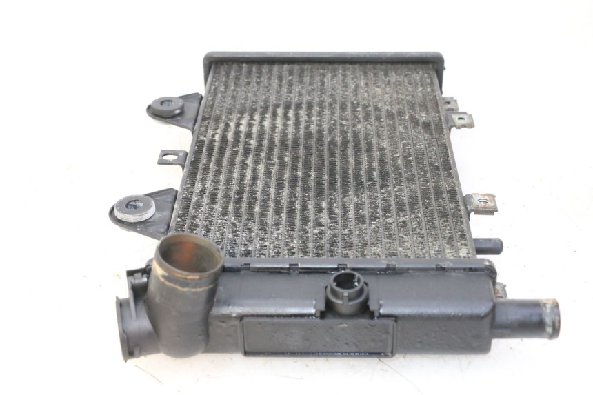 photo de RADIATEUR TRIUMPH SPRINT 900 (1995 - 1998)