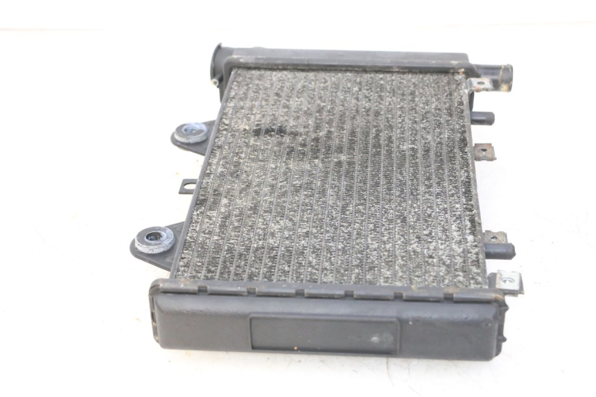 photo de RADIATEUR TRIUMPH SPRINT 900 (1995 - 1998)