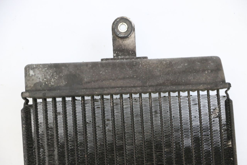 photo de RADIATEUR SUZUKI BURGMAN 125 (2015 - 2017)