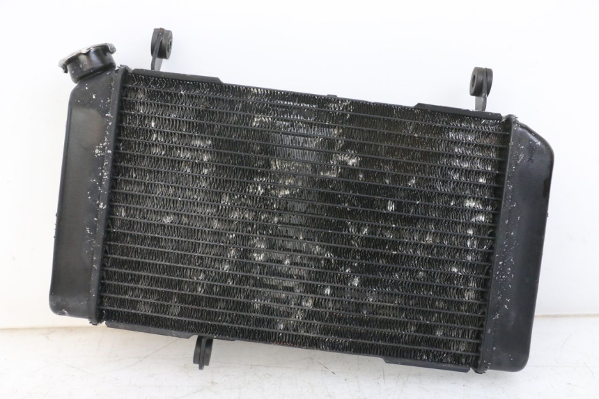 photo de RADIATEUR SUZUKI SV N 650 (1999 - 2002)