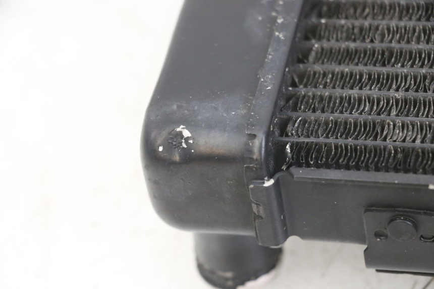 photo de RADIATEUR SUZUKI SV N 650 (1999 - 2002)