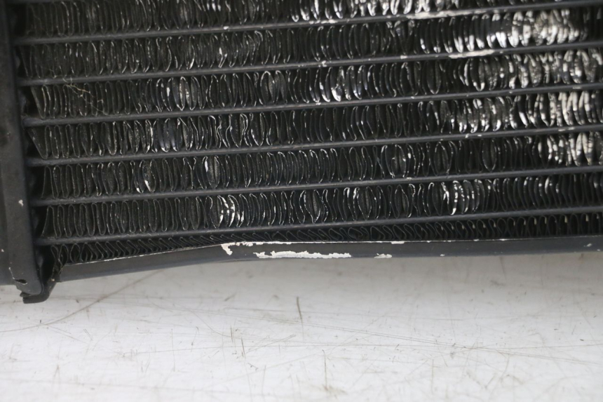 photo de RADIATEUR SUZUKI SV N 650 (1999 - 2002)