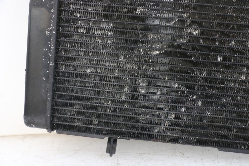 photo de RADIATEUR SUZUKI SV N 650 (1999 - 2002)