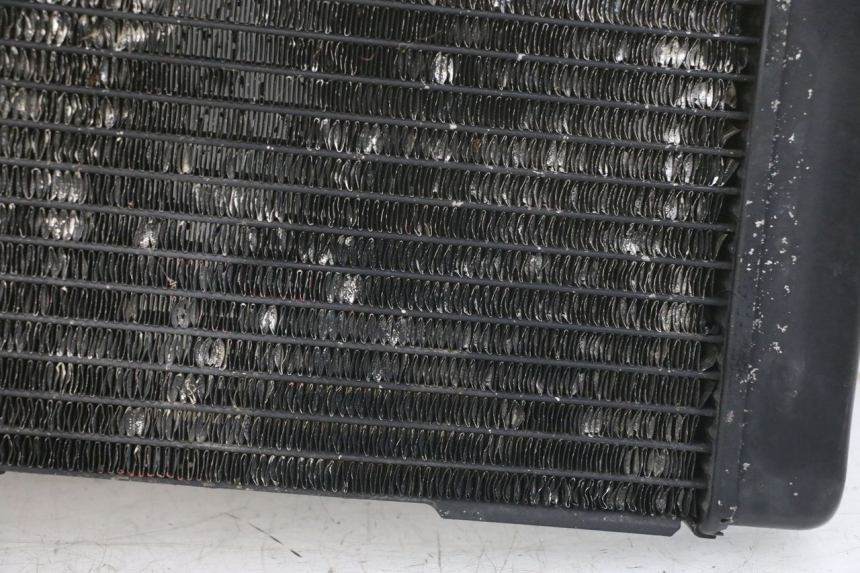 photo de RADIATEUR SUZUKI SV N 650 (1999 - 2002)