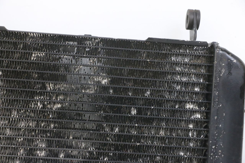 photo de RADIATEUR SUZUKI SV N 650 (1999 - 2002)
