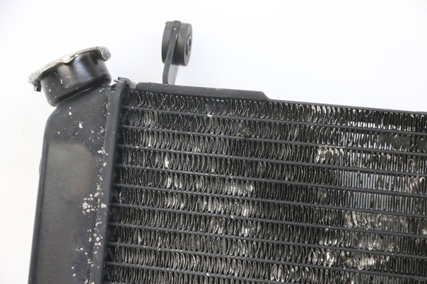 photo de RADIATEUR SUZUKI SV N 650 (1999 - 2002)
