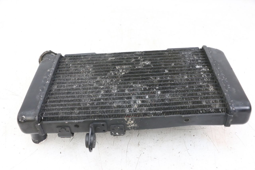 photo de RADIATEUR SUZUKI SV N 650 (1999 - 2002)