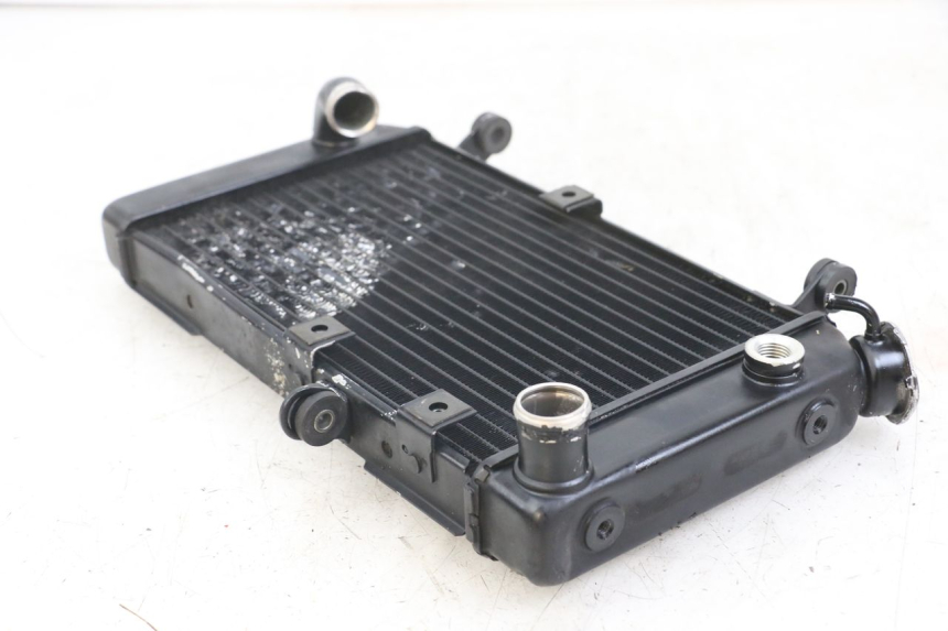 photo de RADIATEUR SUZUKI SV N 650 (1999 - 2002)