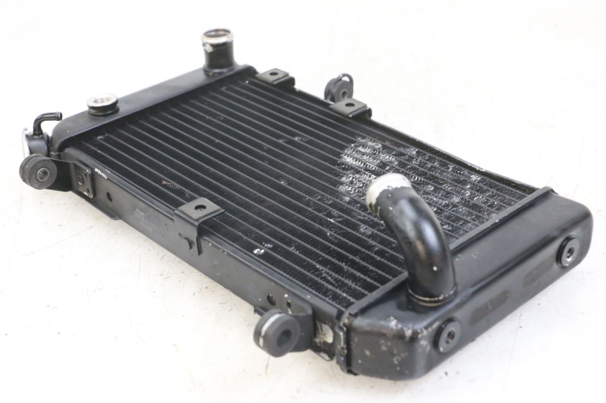 photo de RADIATEUR SUZUKI SV N 650 (1999 - 2002)