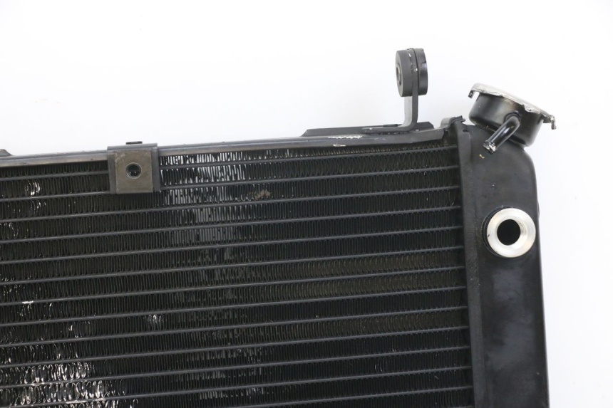 photo de RADIATEUR SUZUKI SV N 650 (1999 - 2002)