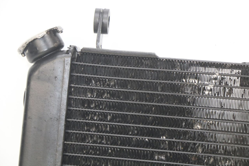 photo de RADIATEUR SUZUKI SV N 650 (1999 - 2002)