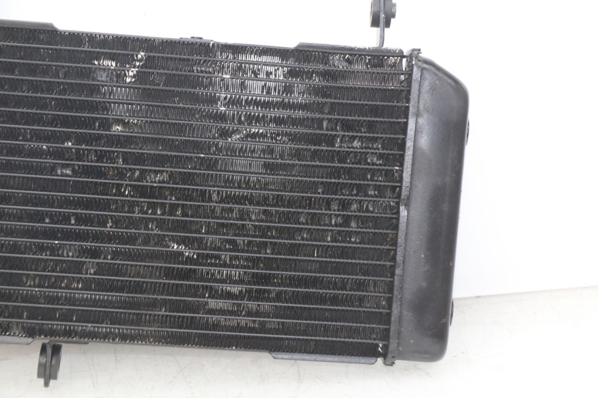 photo de RADIATEUR SUZUKI SV N 650 (1999 - 2002)