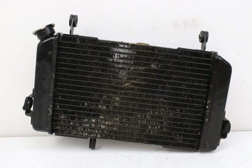 photo de RADIATEUR SUZUKI SV S 650 (1999 - 2002)