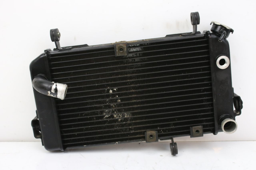 photo de RADIATEUR SUZUKI SV S 650 (1999 - 2002)