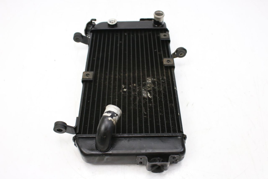 photo de RADIATEUR SUZUKI SV S 650 (1999 - 2002)