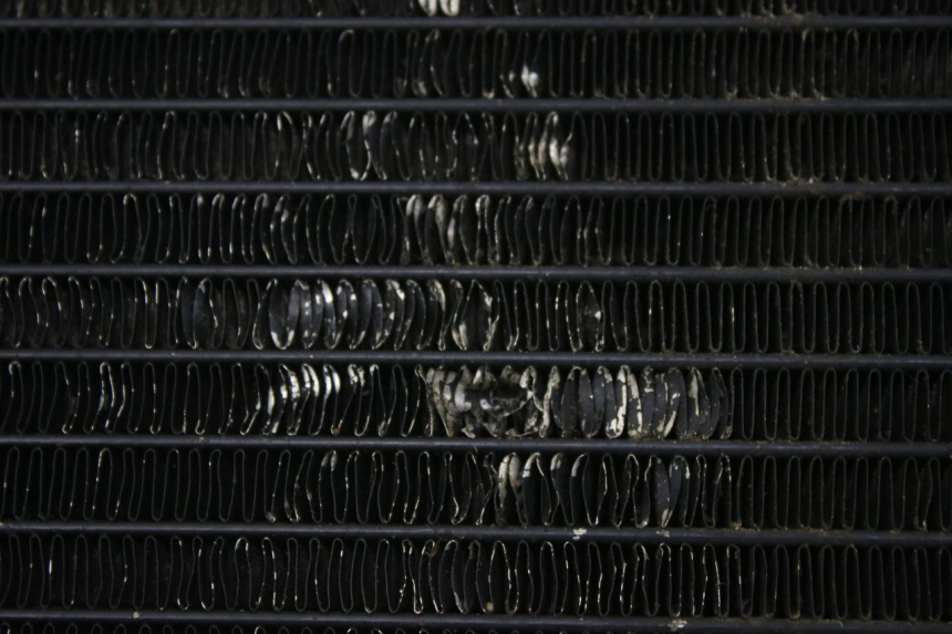 photo de RADIATEUR SUZUKI SV S 650 (1999 - 2002)