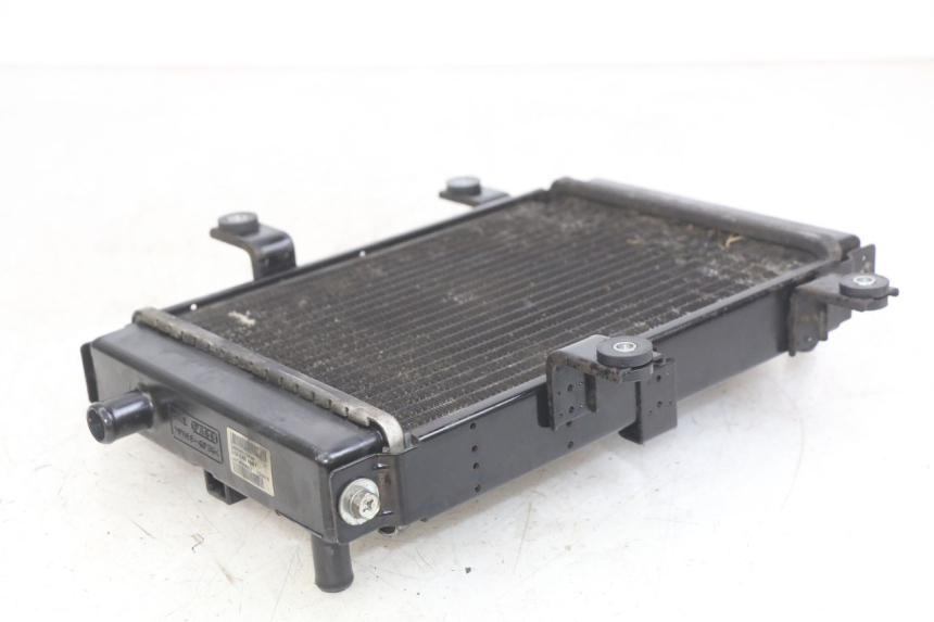 photo de RADIATEUR SYM GTS EFI 125 (2012 - 2016)