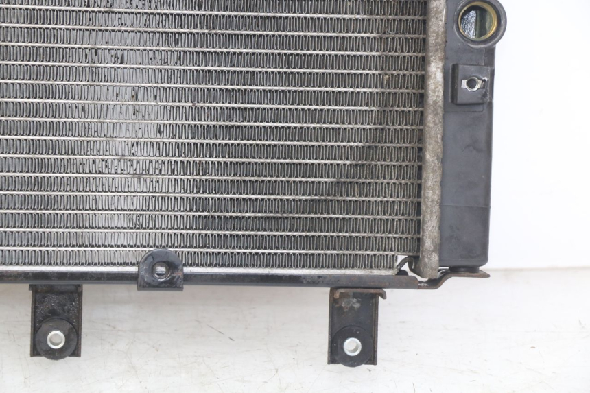 photo de RADIATEUR SYM GTS EFI 125 (2012 - 2016)