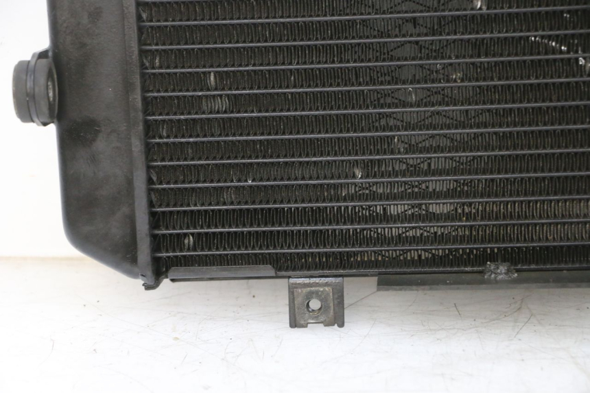 photo de RADIATEUR YAMAHA TDM ABS 900 (2002 - 2014)