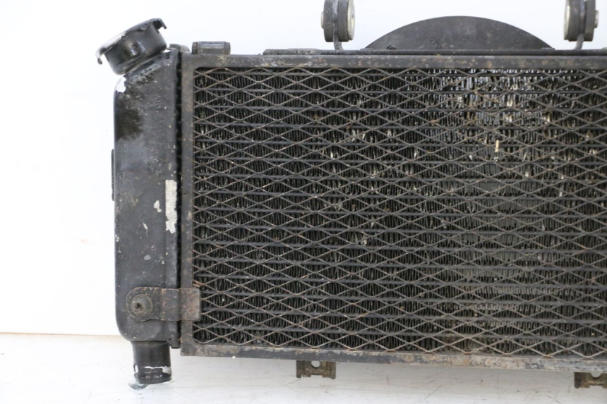 photo de RADIATEUR YAMAHA TDM ABS 900 (2002 - 2014) - Vue produit