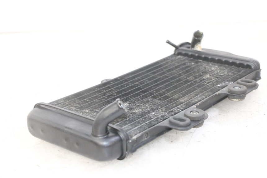 photo de RADIATEUR YAMAHA TDR DELTABOX 125 (1993 - 2003)