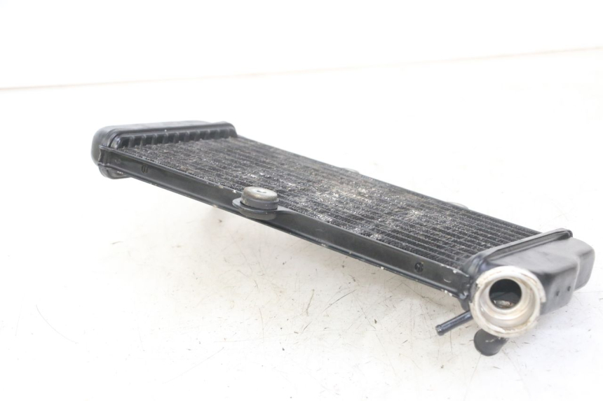 photo de RADIATEUR YAMAHA TDR DELTABOX 125 (1993 - 2003)