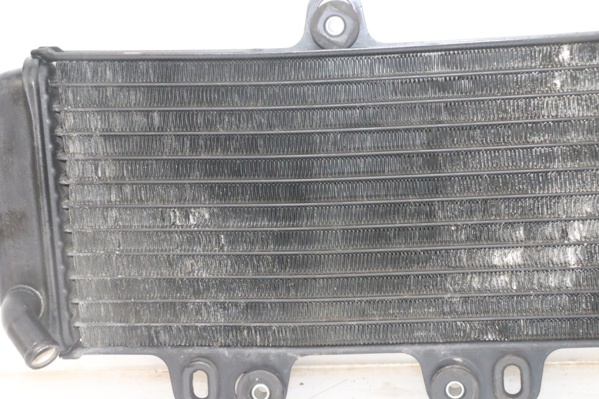 photo de RADIATEUR YAMAHA TDR DELTABOX 125 (1993 - 2003)