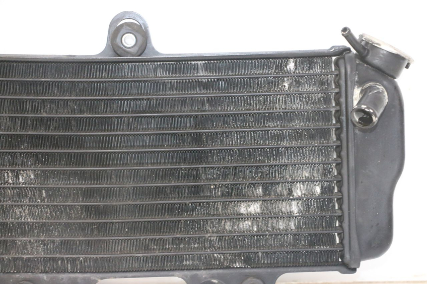 photo de RADIATEUR YAMAHA TDR DELTABOX 125 (1993 - 2003)