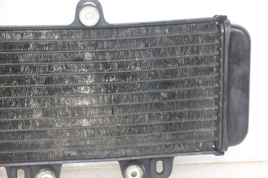 photo de RADIATEUR YAMAHA TDR DELTABOX 125 (1993 - 2003)