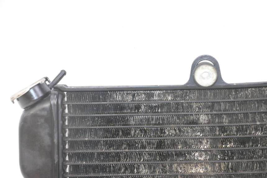 photo de RADIATEUR YAMAHA TDR DELTABOX 125 (1993 - 2003)